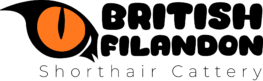 britishfilandon.es